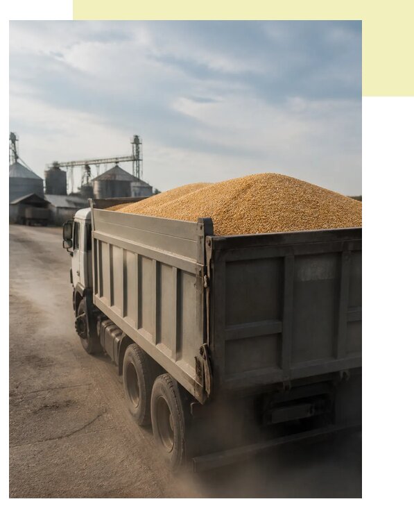 Перевозка сельхозпродукции навалом в Кондопогу по цене от 3046 р. | Агросервис-Кнп